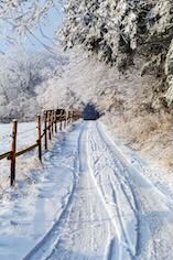Winter ❄️